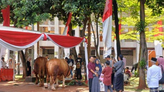 Sejumlah warga berfoto dengan sapi kurban dari Presiden Jokowi dan Wapres Ma'ruf Amin di Masjid Istiqlal, Jakarta, Kamis (29/6/2023). (KOMPAS.com/Rahel)