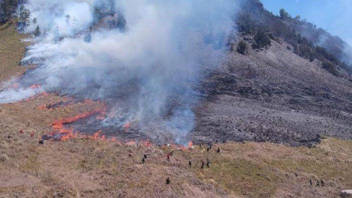 Dokumentasi kebakaran di kawasan Perum Perhutani dan view point Taman Nasional Bromo Tengger Semeru (TNBTS).