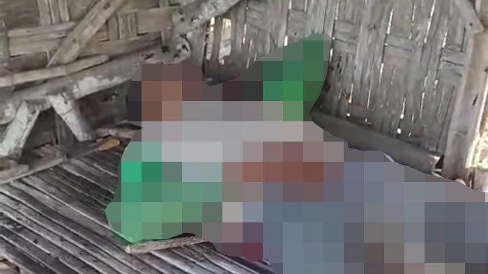 Jasad korban ditemukan berada dalam gubuk area persawahan Desa Sambogunung, Kecamatan Dukun, Kabupaten Gresik pada Rabu (13/9/2023) sore.