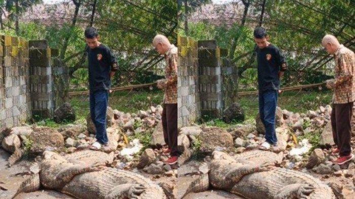 Buaya di penangkaran yang lepas diamankan di Kelurahan Sayang, Kecamatan Cianjur, Kabupaten Cianjur, Kamis (3/10/2024)