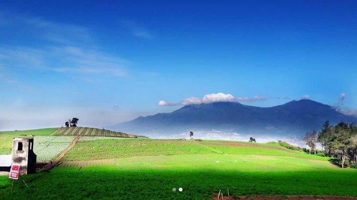 Bukit Jengkoang wisata alam di Malang untuk keluarga yang murah