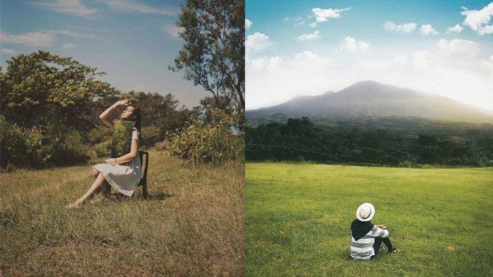 Bukit Teletubbies Batu wisata alam di Malang yang murah