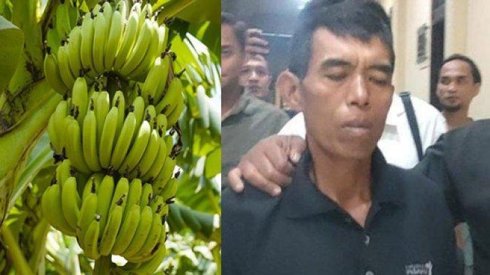 Bunuh Tetangga Karena Dituduh Curi Pisang