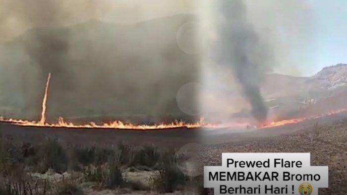 Fakta-fakta Tornado Api di Bromo Akibat Prewedding, BMKG Jelaskan Penyebabnya Fenomena Dust Devil