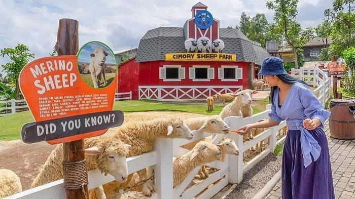 Harga Tiket Cimory Dairyland Prigen Desember 2024, Wisata Pilihan Favorit Jelang Libur Nataru 2025