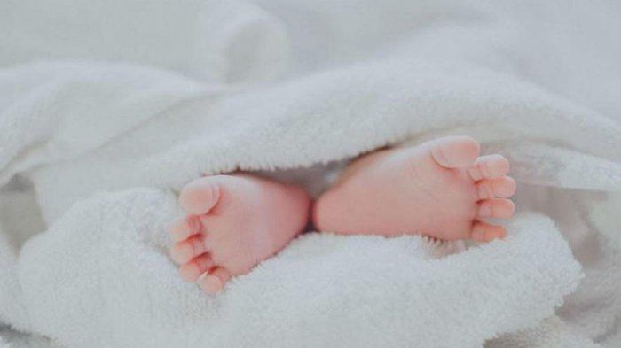 ILustrasi Jasad bayi disimpan dalam freezer
