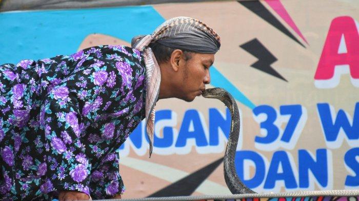 Joe Javanese (42 tahun) Pawang Ular asal Malang Selatan tampil saat memperingati Hari Ular Sedunia atau World Snake Day, Minggu (16/7/2023) di Predator Fun Park Kota Batu.