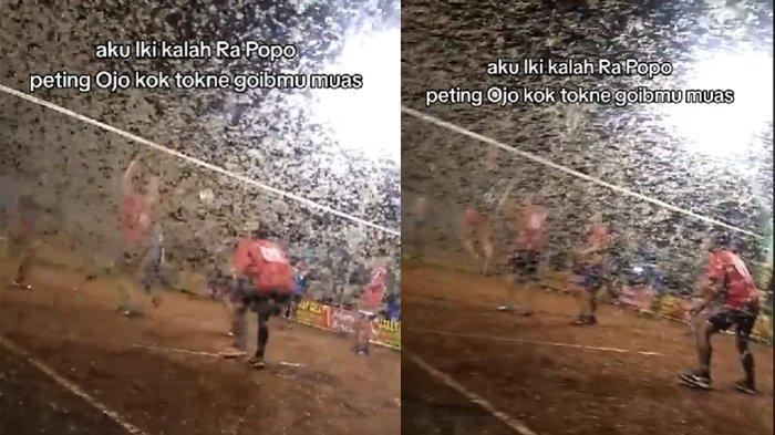 Laron mengerubungi pemain voli yang sedang tanding