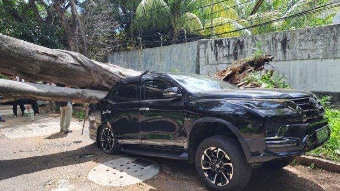 Mobil Fortuner ringsek karena tertimpa pohon besar di depan rumah Prabowo Subianto