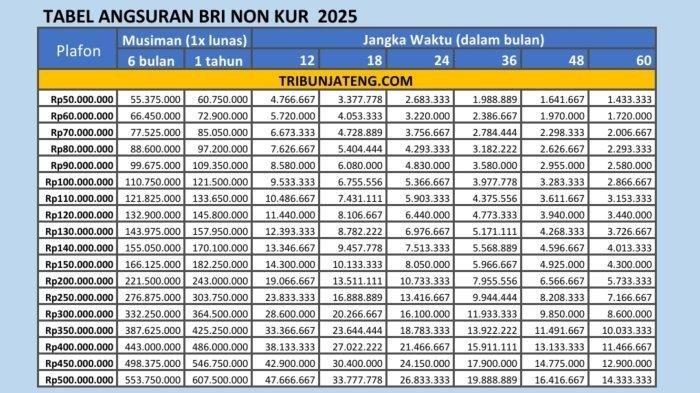 NON KUR BRI 2025 - Berikut ini tabel angsuran pinjaman BRI Non KUR 2025 1-50 Juta