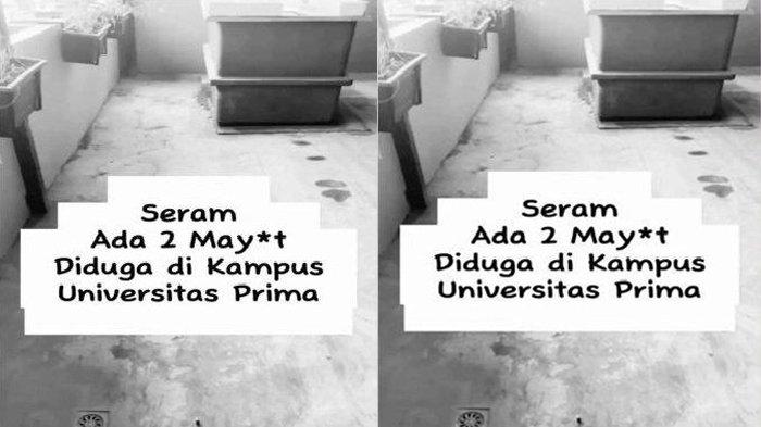Narasi video soal kabar mayat di Unpri Medan