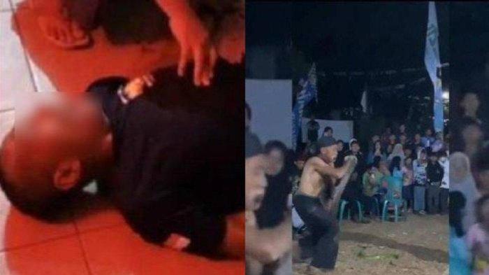 Nasib Apes Bah Kobra Dipatuk King Kobra Saat Atraksi di Acara HUT ke-78 RI, Ular Ternyata Masih Liar