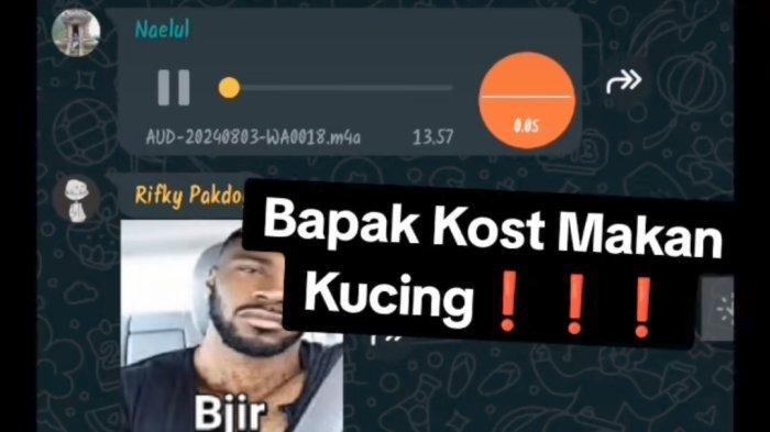 Ngeri Bapak Kos Makan Daging Kucing Untuk Obat Diabetes di Semarang