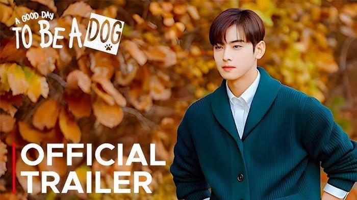 Nonton A Good Day to Be a Dog Sub Indo DIbintangi Cha Eun Woo