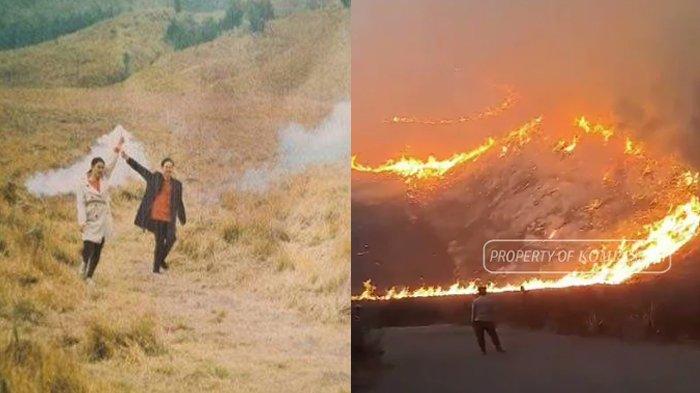 Pasangan Prewed di Bromo Tetap Nikah Setelah Bakar 500 Hektar Lahan, Trauma Gak Mau Pasang Foto