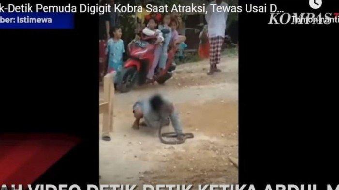 Pemuda di Grobogan tewas dipatuk ular kobra lalu meninggal dunia