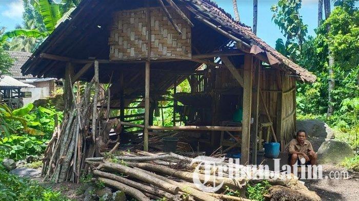 Penampakan rumah Jumadi kakek di Lumajang tinggal di gubuk reyot