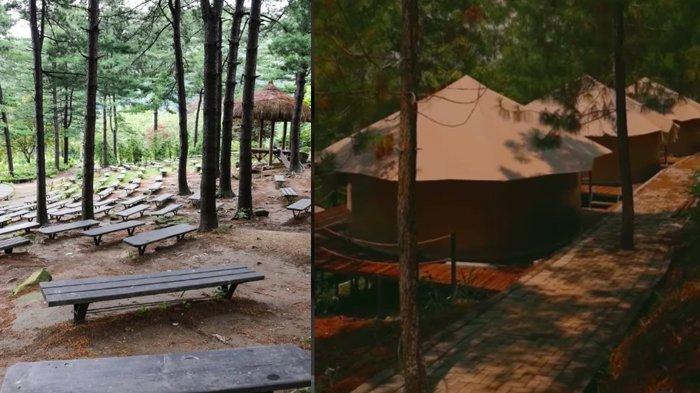 Rindang Glamping di Kota Batu