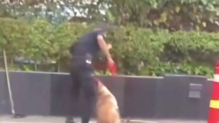 Sebuah video menayangkan aksi sekuriti memukul anjing di mal Plaza Indonesia, Jakarta, beredar viral di media sosial. (Instagram @rumahsinggahclow)