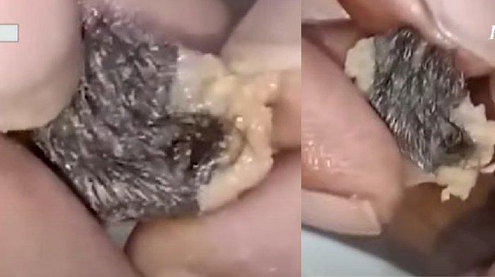 Temuan pembeli TikToker menuduh bakso di Surabaya pakai daging tikus