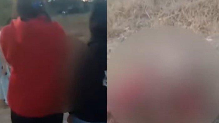 Video Viral 2 Cewek Adu Jotos di Makassar