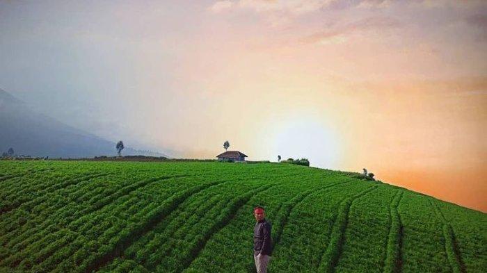 Wisata Alam Brakseng