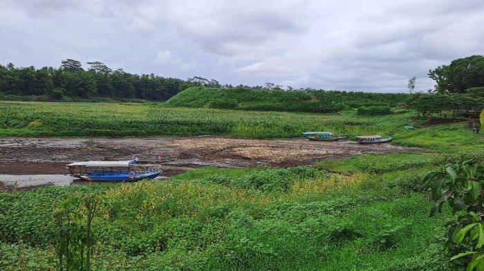 Wisata Mahoni Dempok di Desa Gampingan, Kecamatan Pagak, Kabupaten Malang.