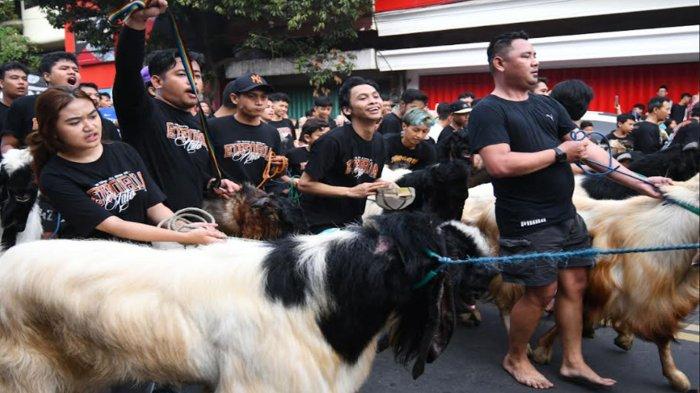 Tradisi arak-arakan hewan kurban di kota Malang , Kamis (29/6/2023) semarak. Ttadis itu sudah dilakukan selama puluhan tahun setiap Hari Raya Idul Adha dan sebagai syiar islam. Puluhan hewan kurban sapi maupun kambing diarak warga mulai Jalan Gatot Subroto menuju Jalan Aris Munandar Kota Malang memutar hingga kembali ke lokasi awal.