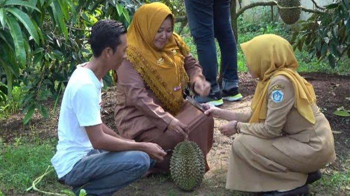 Surya Afandi menemani pengunjung menikmati durian petik pohon hasil budidayanya di Desa Godok, Kecamatan Laren, Kabupaten Lamongan, Senin (20/1/2025)