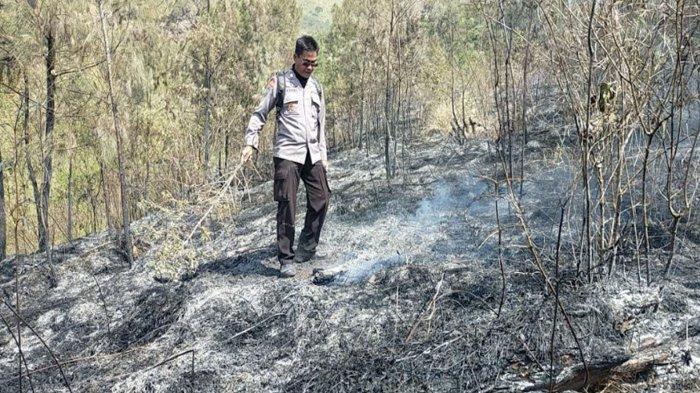 Petugas gabungan melakukan pemadaman di lereng Gunung Arjuno, Kecamatan Singosari, Kabupaten Malang, Senin (28/8/2023)
