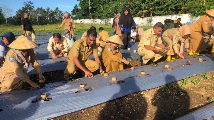 Tampak juga seluruh pimpinan OPD di lingkup Pemkab Pulau Morotai, ikut serta dalam gerakan penamaan hortikultura itu, Senin (12/2/2024)