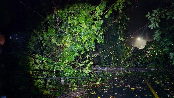 PERBAIKAN - Kondisi tiang PLN yang tertimpa pohon tumbang di Desa Saketa
