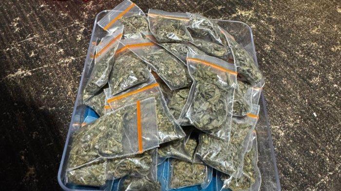 HUKUM: Barang bukti narkoba yang diamankan anggota Satnarkoba Polres Ternate, Maluku Utara, Jumat (6/12/2024)