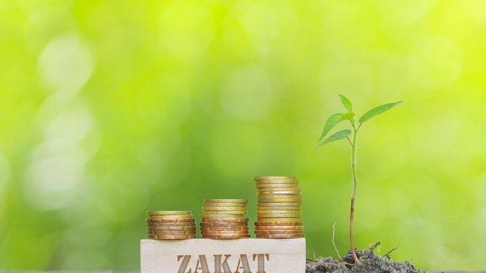 Ilustrasi Zakat Fitrah - Tata cara dan niat bayar zakat fitrah, beserta besaran nominalnya