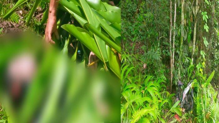 LAKA TUNGGAL - Pengendara sepeda motor di Halmahera Timur, Maluku Utara meninggal akibat kecelakaan tunggal yang terjadi di gunung Uni Uni pada Kamis (13/2025) pukul 24.00 WIT. Ini identitasnya.