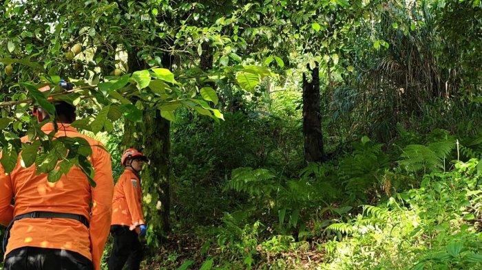 ORANG HILANG - Tim SAR saat melakukan pencarian di area Gunung Gamalama, Rabu (14/5/2025).