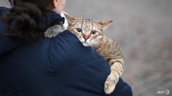 Seorang wanita membawa kucing peliharaannya saat berjalan dekat stasiun kereta api Kyiv-Pasazhyrskyi di Kyiv pada Kamis, 24 Februari 2022 pagi