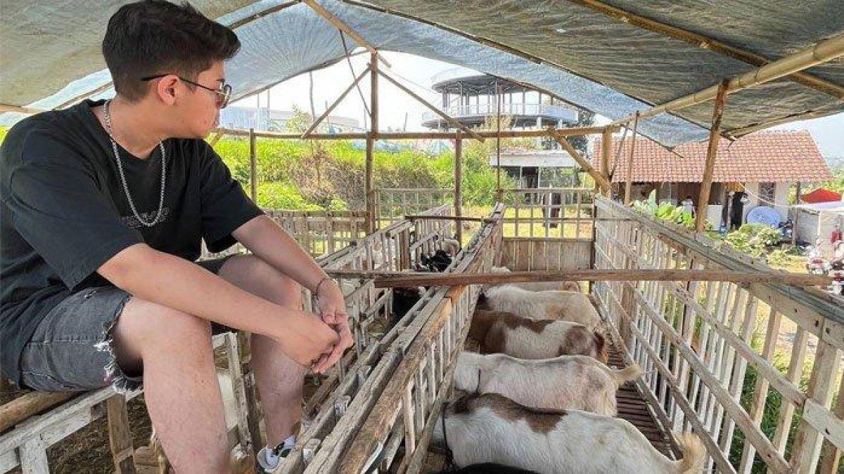 Artis asal Malang lawan main Raffi Ahmad kini jadi juragan kambing