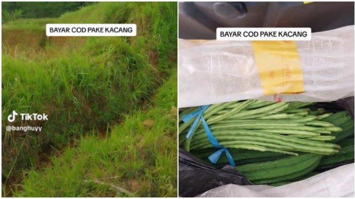 Kurir antar paket COD dibayar dengan oyong dan kacang