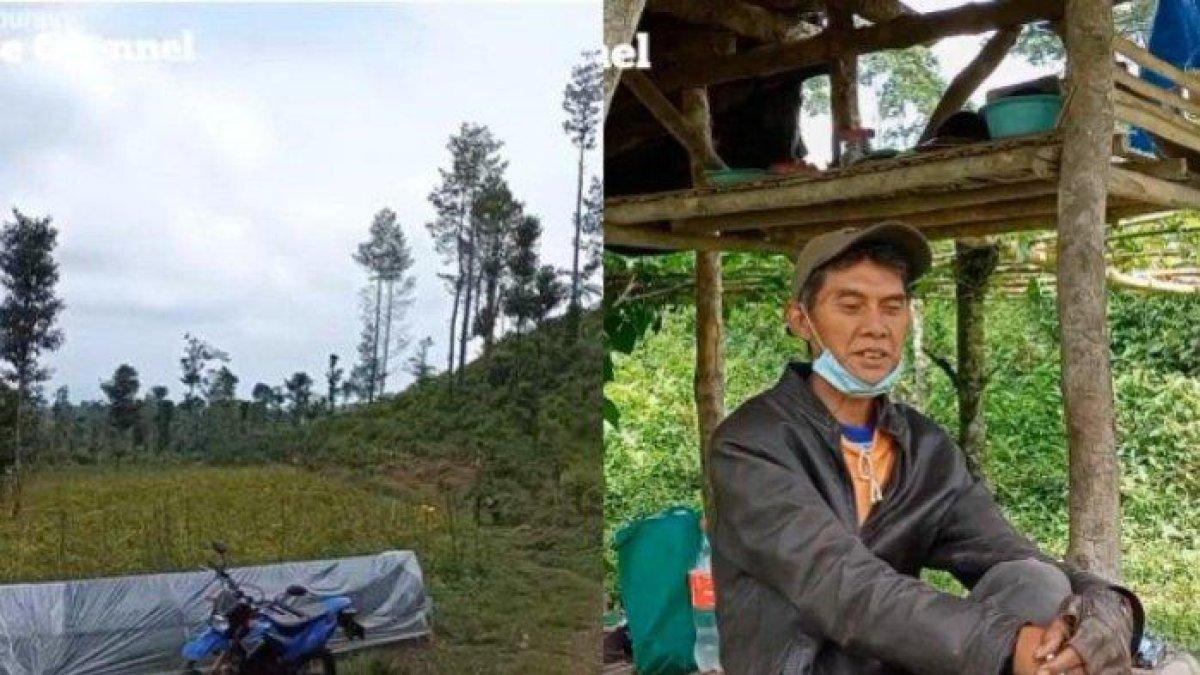 Viral kisah mantan pejabat dua periode, memilih hidup di hutan belantara usai pensiun.