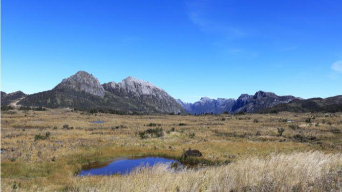Taman Nasional Lorentz