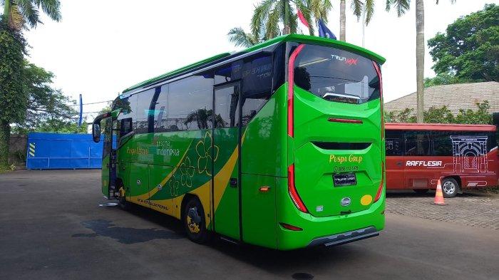 Triun MX bodi belakang