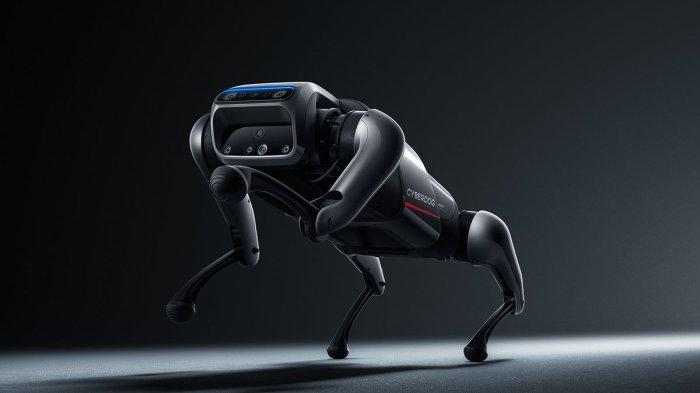 robotanjingxiomi1