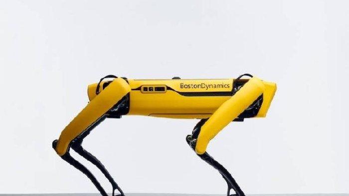 robotspot1