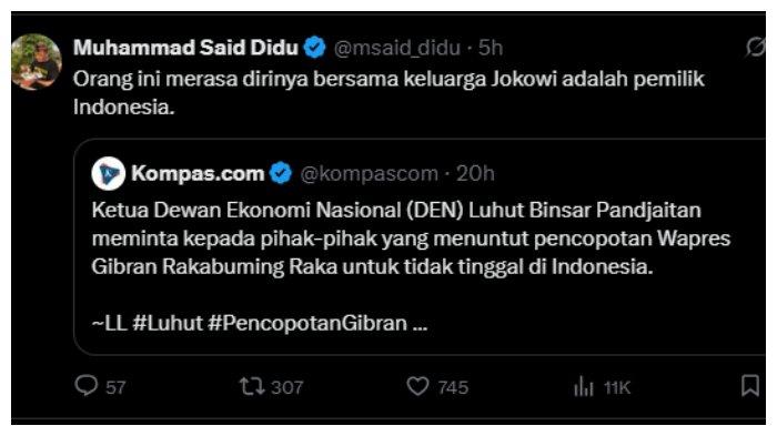 said didu cuitan luhut sindiran