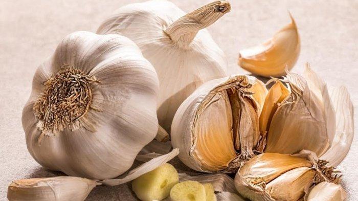 Ekstrak bawang putih telah menunjukkan kemampuannya melawan infeksi saluran kemih yang resistan terhadap obat