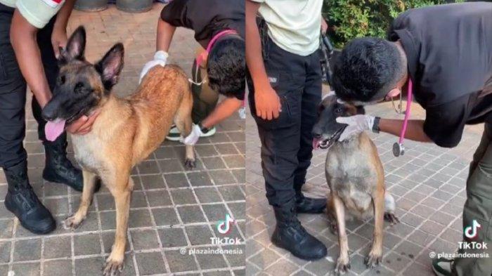 Fay ketika diperiksa Dokter Caesar di Plaza Indonesia, Tanah Abang, Jakarta Pusat pada Kamis (6/6/2024)