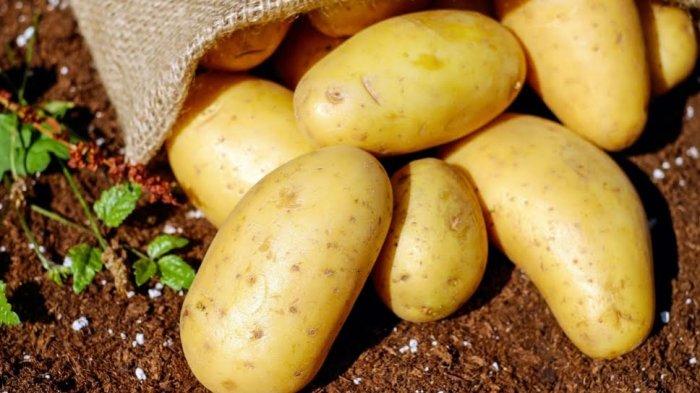 Kentang mengandung vitamin C dan serat yang tinggi dan bisa membantu menurunkan tekanan darah dan kolesterol jahat.