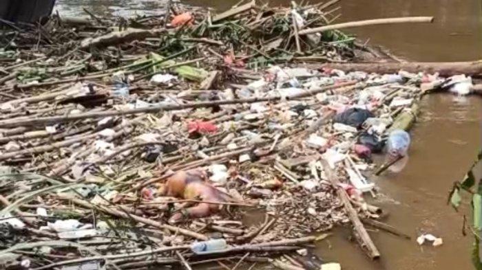 MAYAT TANPA KEPALA - Warga Rawajati, Pancoran, Jakarta Selatan, dikejutkan dengan penemuan jasad diduga berjenis kelamin laki-laki tanpa kepala di aliran Kali Ciliwung, tepatnya di Jalan Rawajati Timur III, Pancoran, Rabu (9/7/2025). Mayat yang belum diketahui identitasnya ini ditemukan dalam kondisi tertelungkup di antara tumpukan sampah dan hanya mengenakan pakaian dalam.
