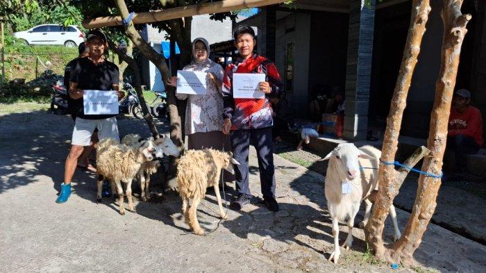 PERESMIAN BANK POHON - Kepala Desa Ciasihan, Lilih dan Ketua Jurnalis Indonesia Peduli (JIP), Abdul Rosyid menyaksikan proses penyembelihan hewan kurban di Jalan KH M Parta, Desa Ciasihan, Kecamatan Pamijahan, Kabupaten Bogor pada Minggu (8/6/2025) siang. Daging hewan kurban ini nantinya dibagikan dalam peresmian Bank Pohon Rimbun Daun yang dikelola oleh Yayasan Darma Jurnalis Indonesia (YDJI).